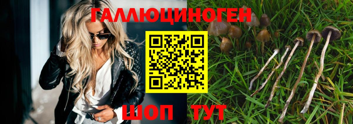 Псилоцибиновые грибы Magic Shrooms  Псилоцибиновые грибы Magic Shrooms  Краснознаменск  Вход с VPN 